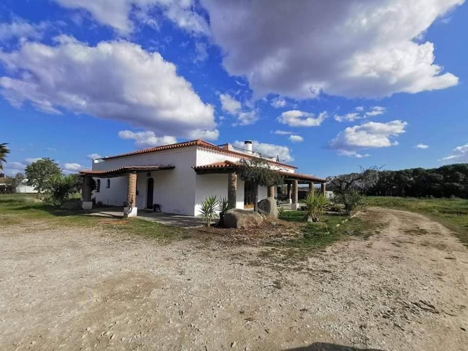 Quinta Da Belavista Villa Регуенгос де Монсараз Екстериор снимка