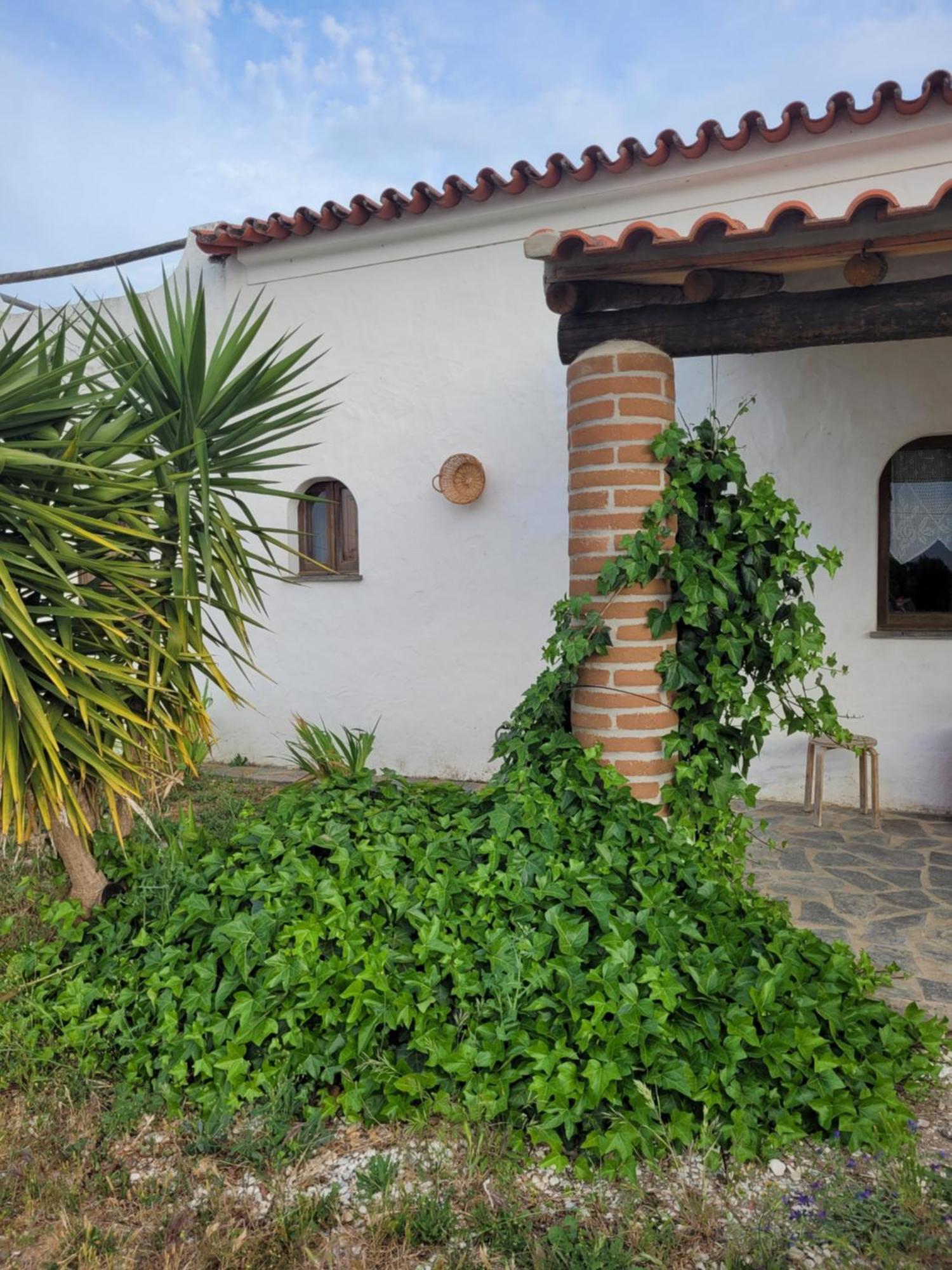 Quinta Da Belavista Villa Регуенгос де Монсараз Екстериор снимка
